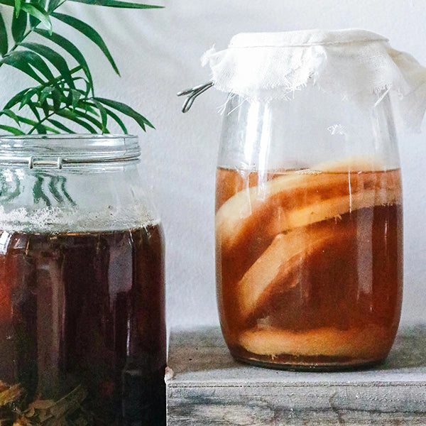 Two glass jars filled with homemade kombucha. The jar on the right is covered with cloth and contains visible SCOBY layers, used for fermentation. The jar on the left is sealed and filled with dark tea.