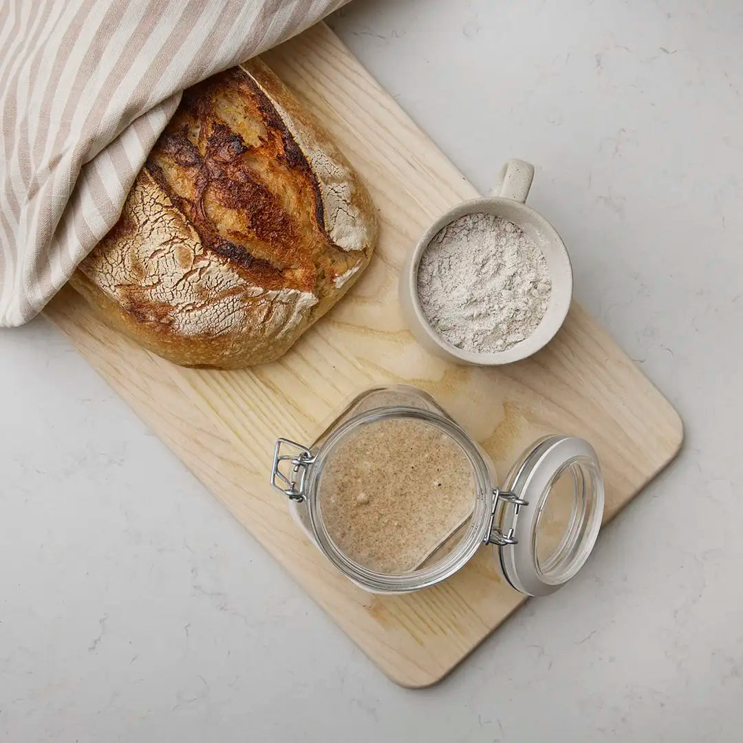 Probiotics 101: Your essential guide | BioGaia UK