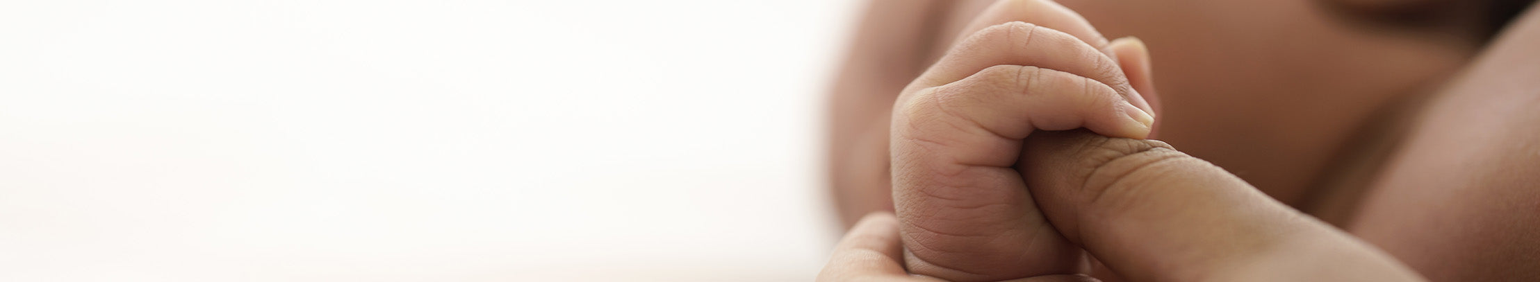 Close-up of a baby's hand held by an adult's hand against a blurred background