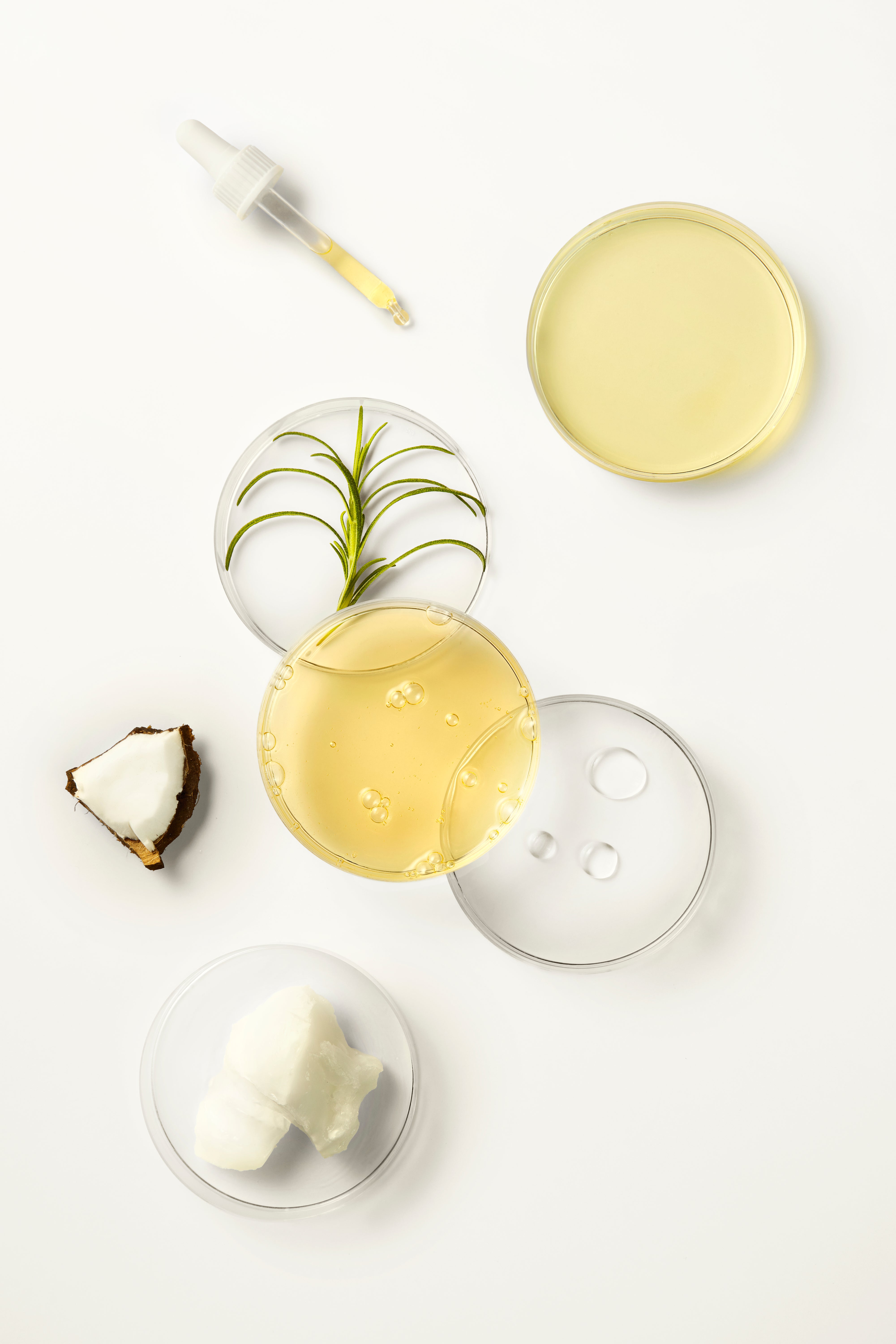 BioGaia Skincare Balm-to-Milk Body Wash ingredients in petri dishes including glass oil dropper, rosemary, shea butter, coconut, glycerin and other ingredients.