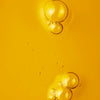 Apricot Kernel Oil