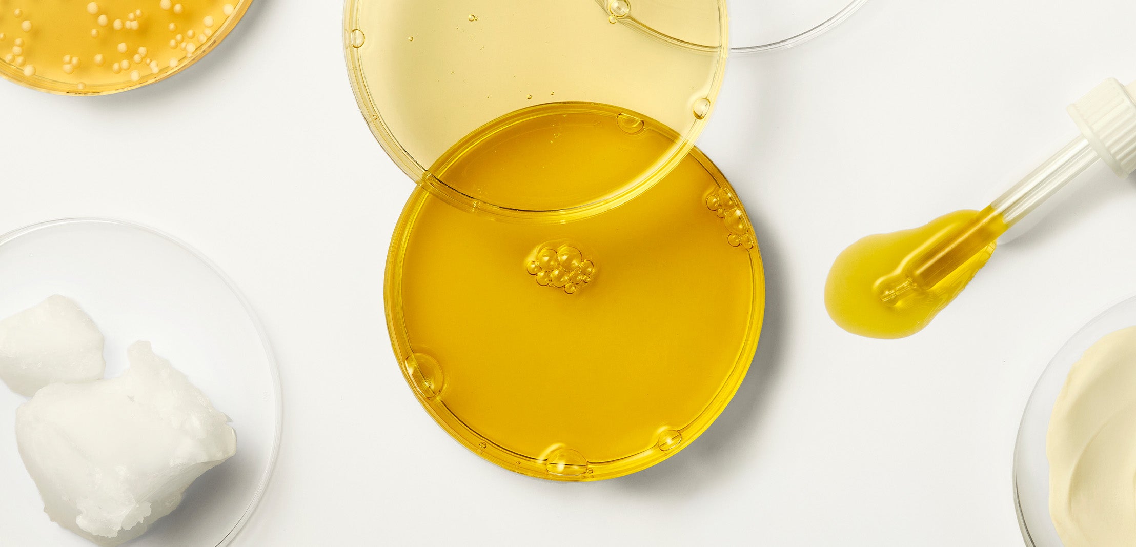 Flat lay of ingredient textures and botanical elements representing the key ingredients used across the BioGaia Skincare range. Banner to represent the 100/100 Yuka app score.