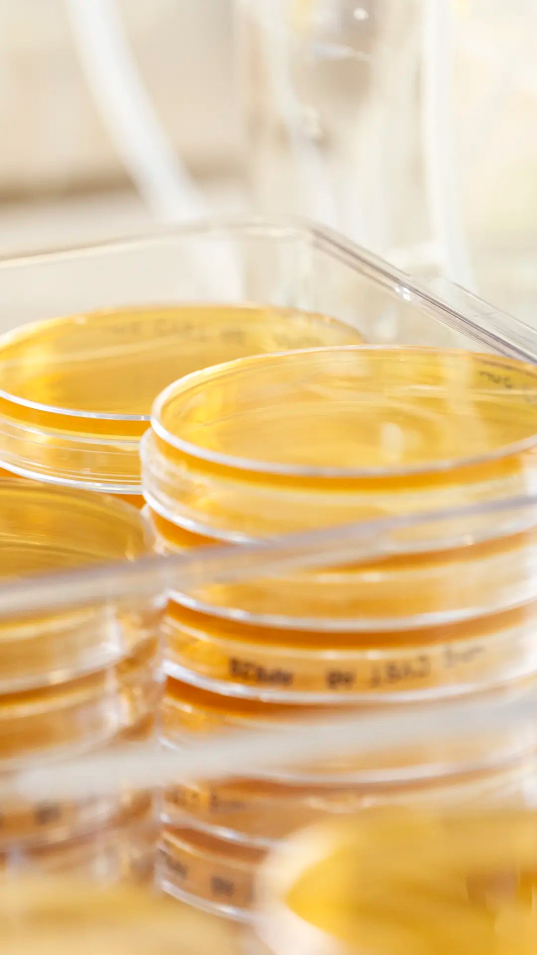 Biopro Cfu CFU in probiotics explained: what it means | BioGaia UK